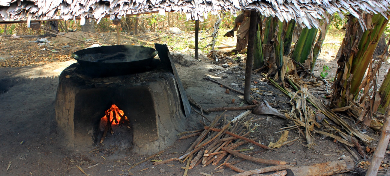 Improving the traditional process of palm sugar production in Cambodia