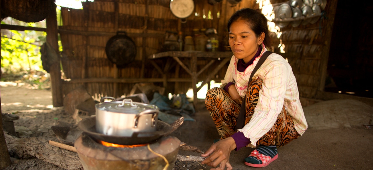 Accompagnement de la filière foyers de cuissons améliorés au Cambodge