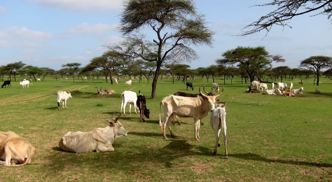 Territorial approach to climate change in Senegal