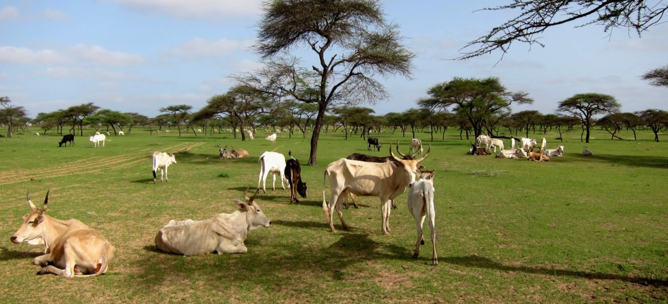 Territorial approach to climate change in Senegal