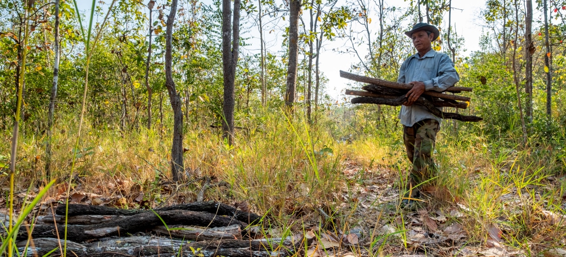 Forest communities engaged in the energy transition in Cambodia