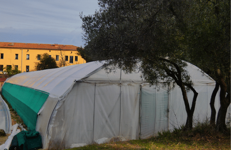 Serre bioclimatique Marseille Geres