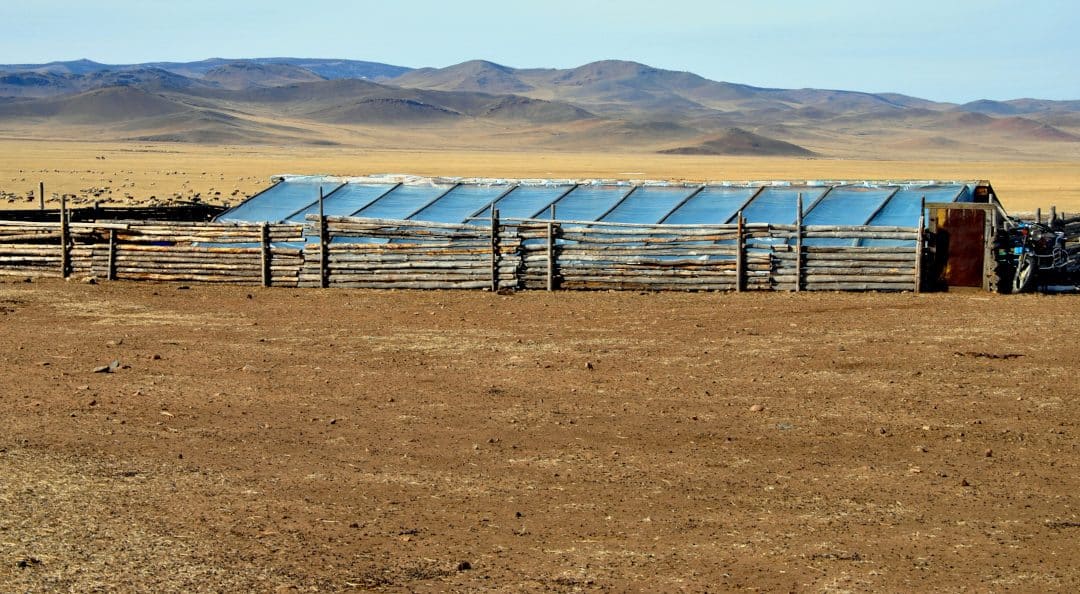 Diffusion de serres solaires passives pour le maraîchage en Mongolie