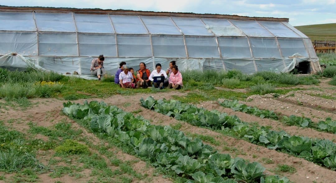 Agricultural self-sufficiency and balanced nutrition for the rural population of Khangai