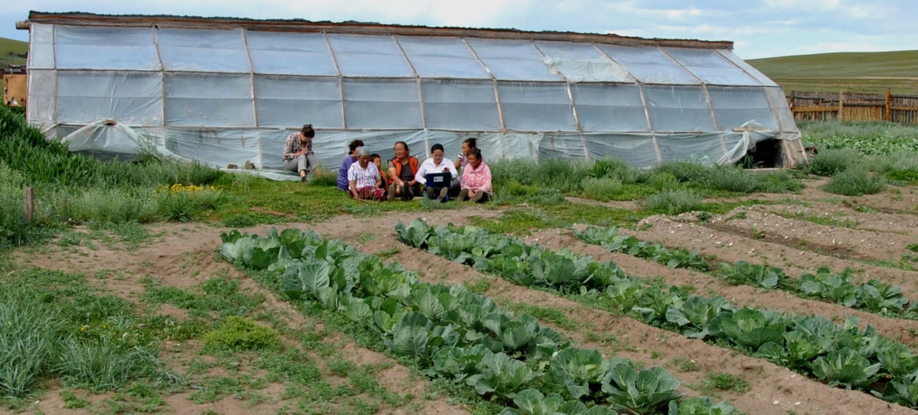 Autosuffisance agricole et alimentation équilibrée pour les populations rurales de l’Arkhangaï