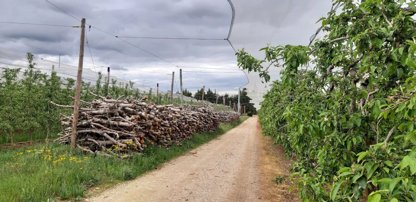 Valorization of organic matter in Southern France