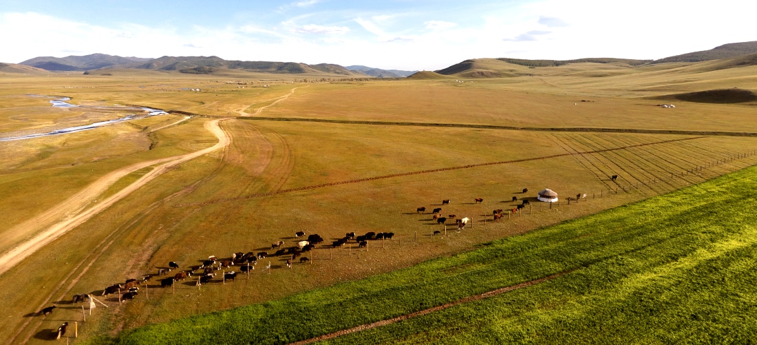 Belle reconnaissance du travail du Geres en Mongolie !