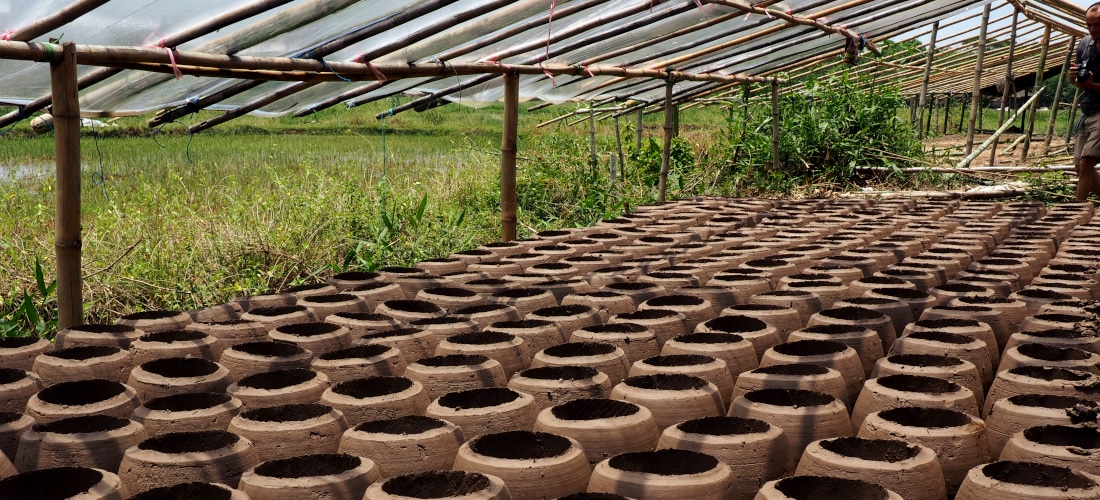 Strengthening access to improved cookstoves in Myanmar