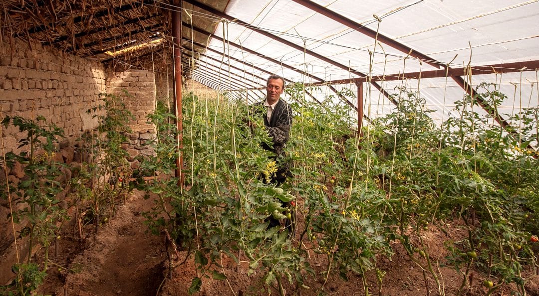 Bioclimatic houses and support for agricultural development in Tajikistan