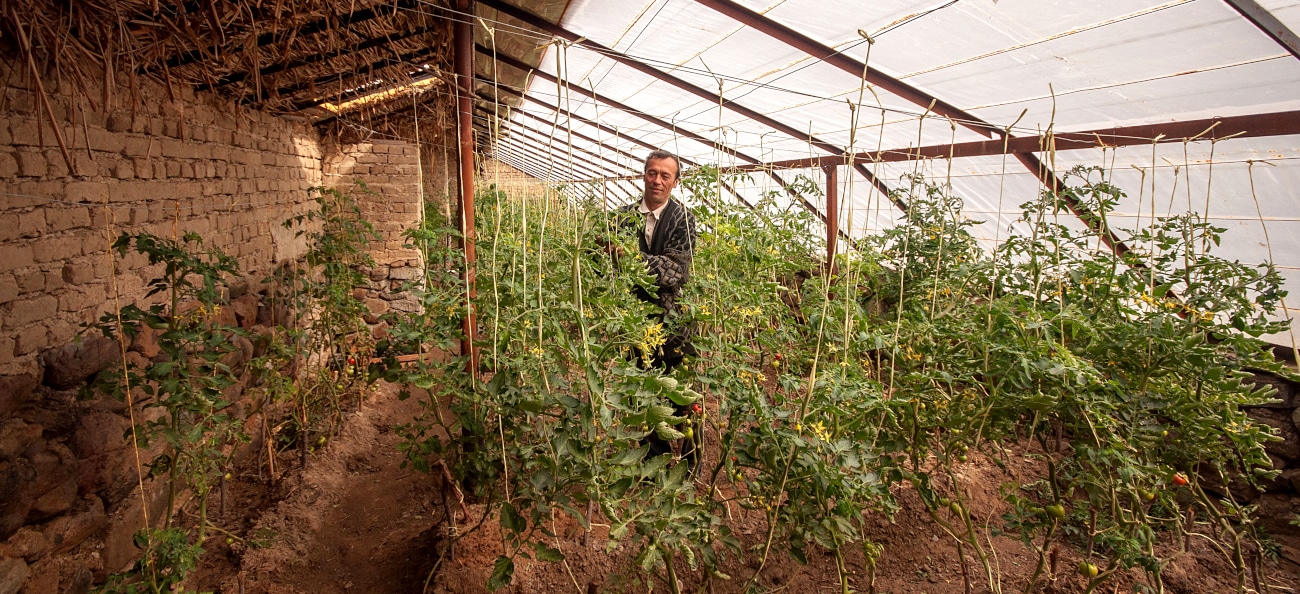 Bioclimatic houses and support for agricultural development in Tajikistan