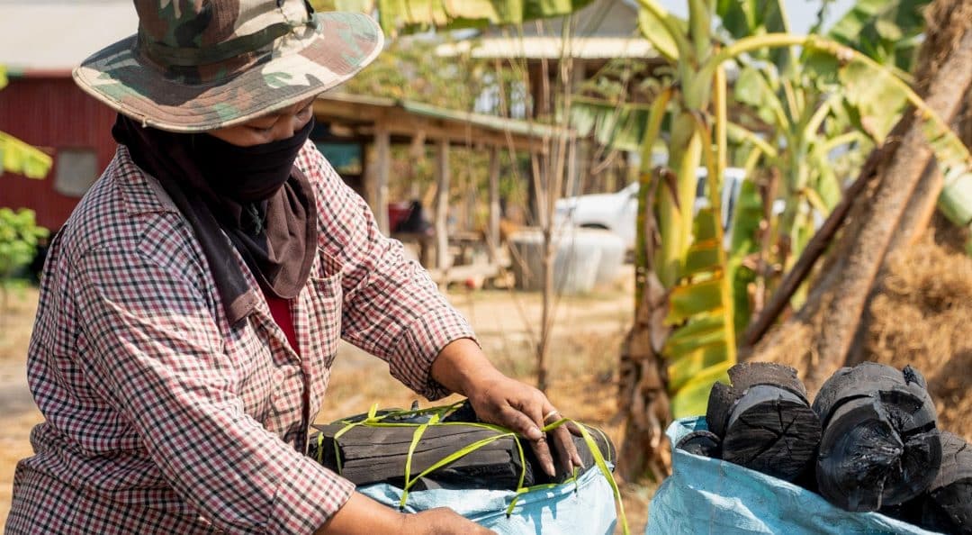 Sustainable forest resource use in the Cardamom mountains in Cambodia
