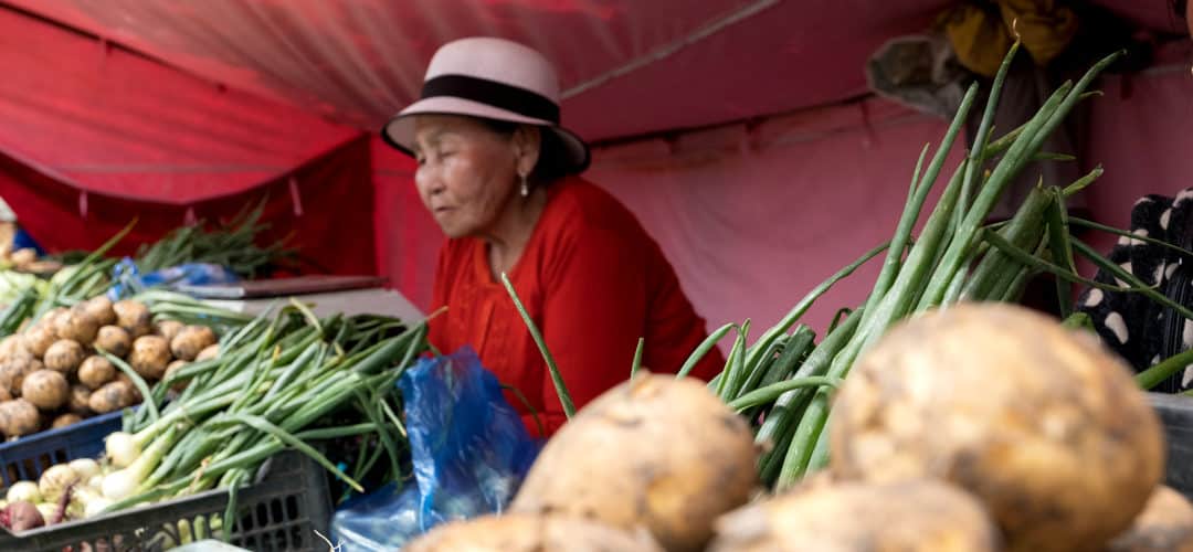 Promoting the role of women in rural economic development in Mongolia