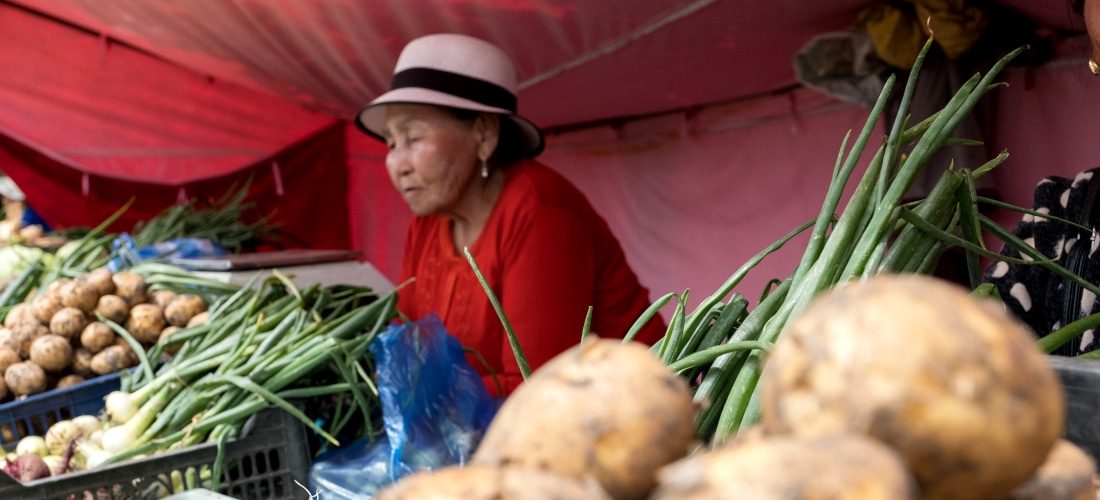 Promotion du rôle des femmes dans le développement économique rural en Mongolie