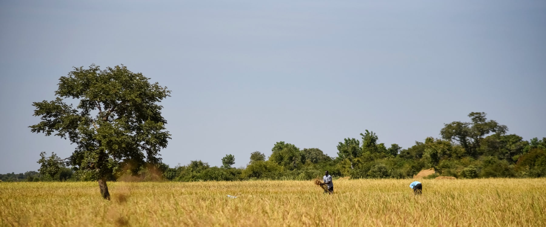 Pourquoi la crise du Covid-19 renforce le besoin de Solidarité climatique