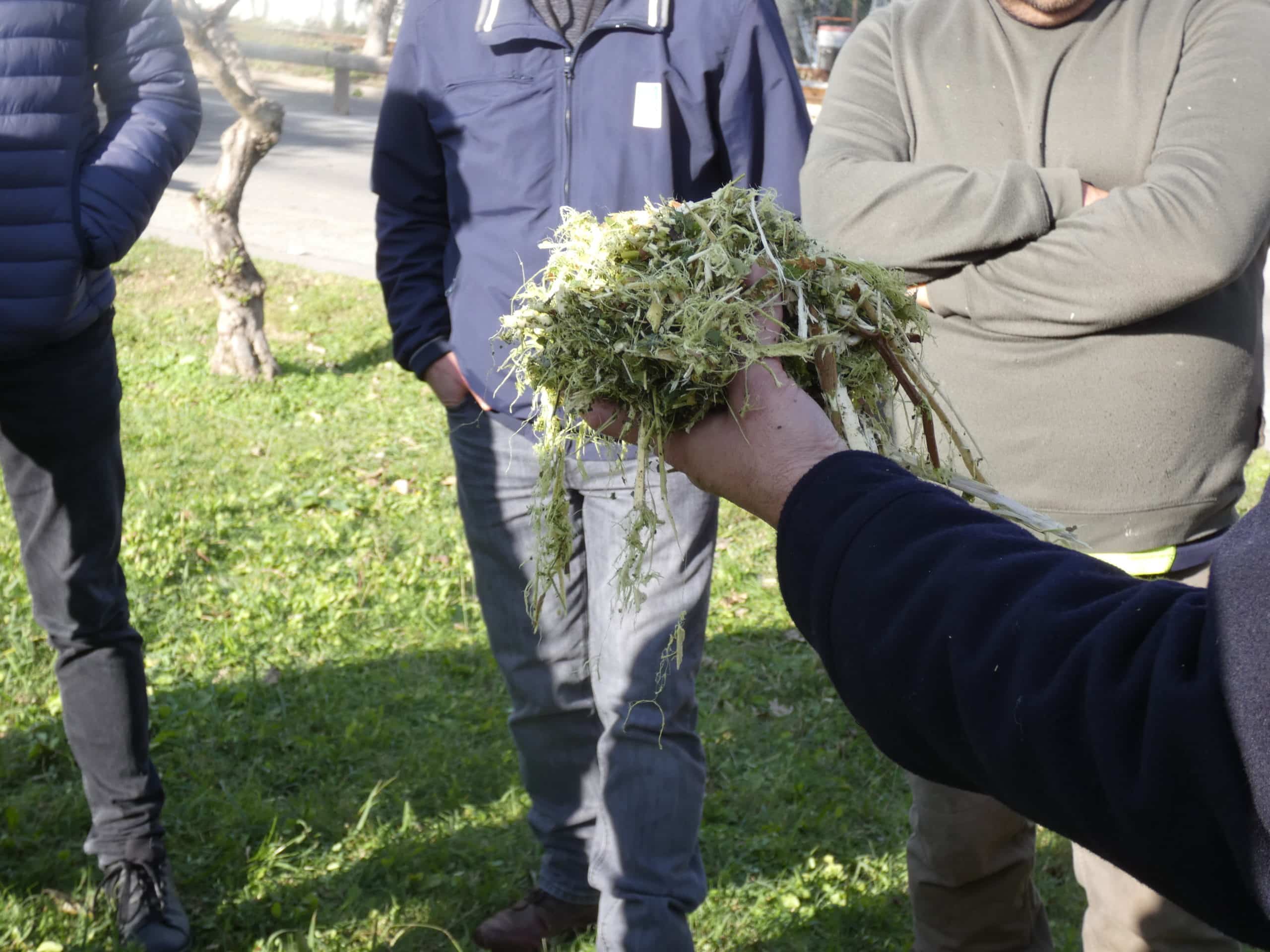 Opération sensibilisation au broyage des déchets verts à Carry-le-Rouet : nous vous attendons nombreux·ses !