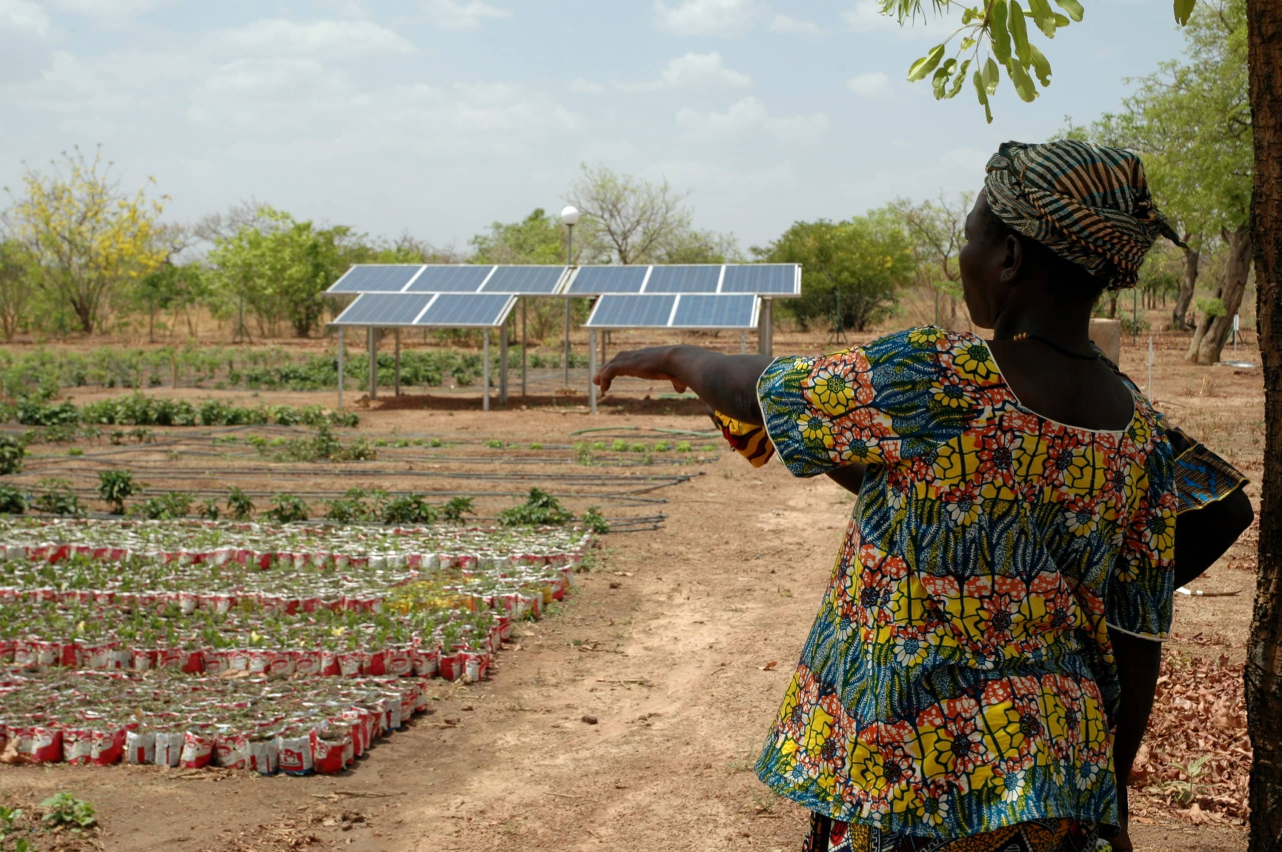 L’électrification des activités productives au Sahel : une condition de la résilience des territoires ruraux