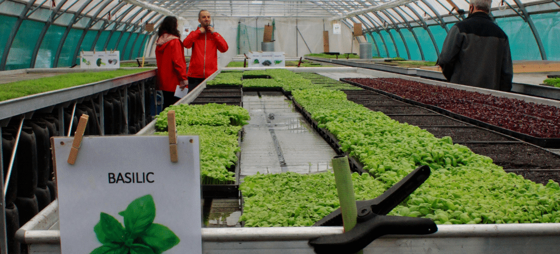 À Marseille, la serre bioclimatique du Paysan Urbain s’adapte pour surmonter la crise