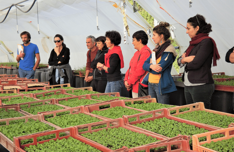 Agricuteurs et serres bioclimatiques région paca sud