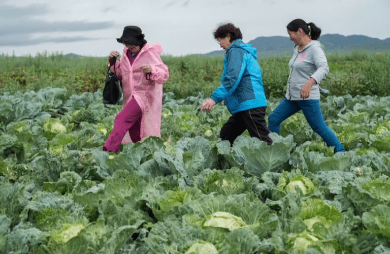 Emancipation des femmes mongolie maraichage agriculture