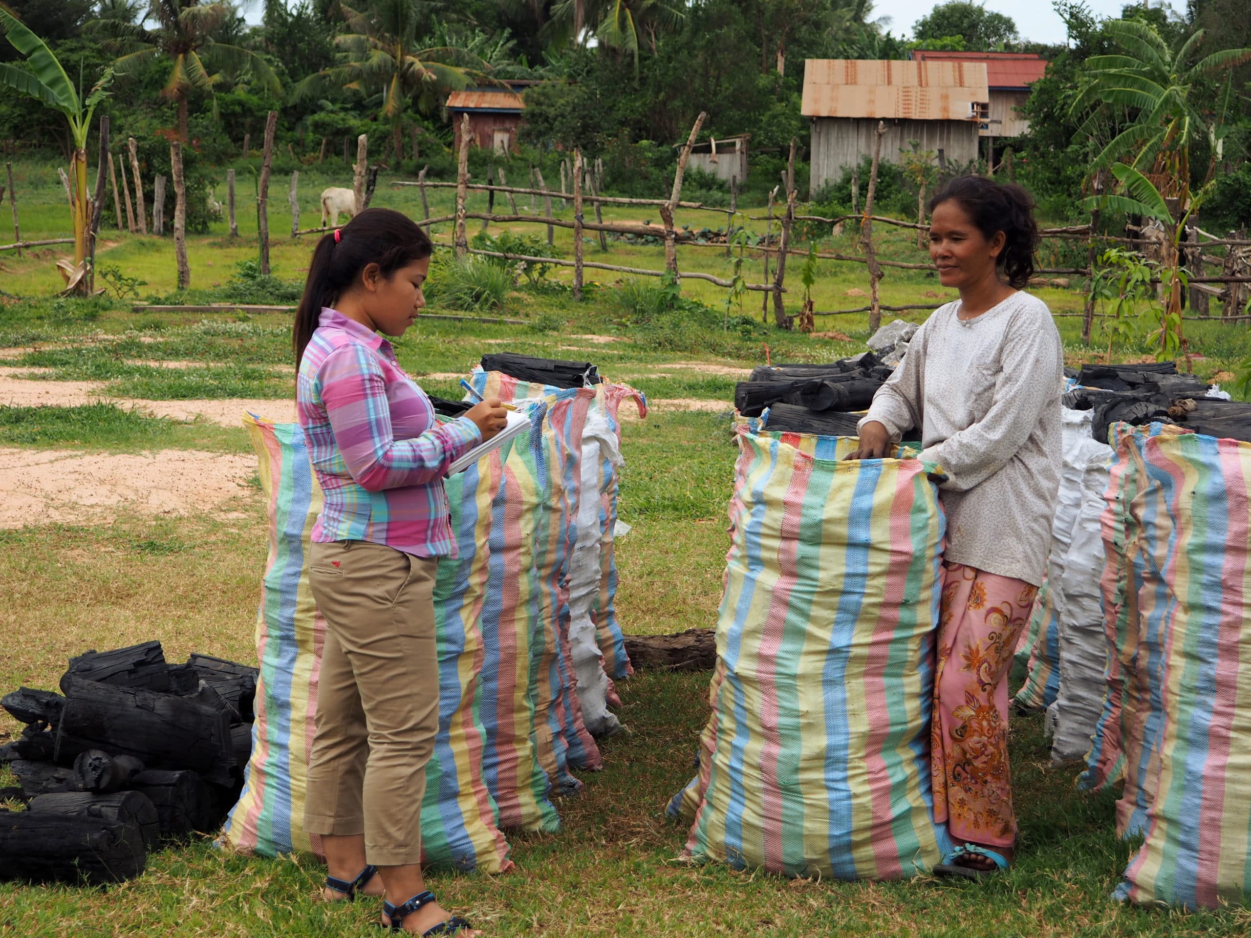 Femmes engagées cambodge charbon de bois durable cambodge