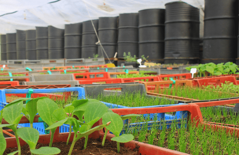 Serre bioclimatique Aubagne