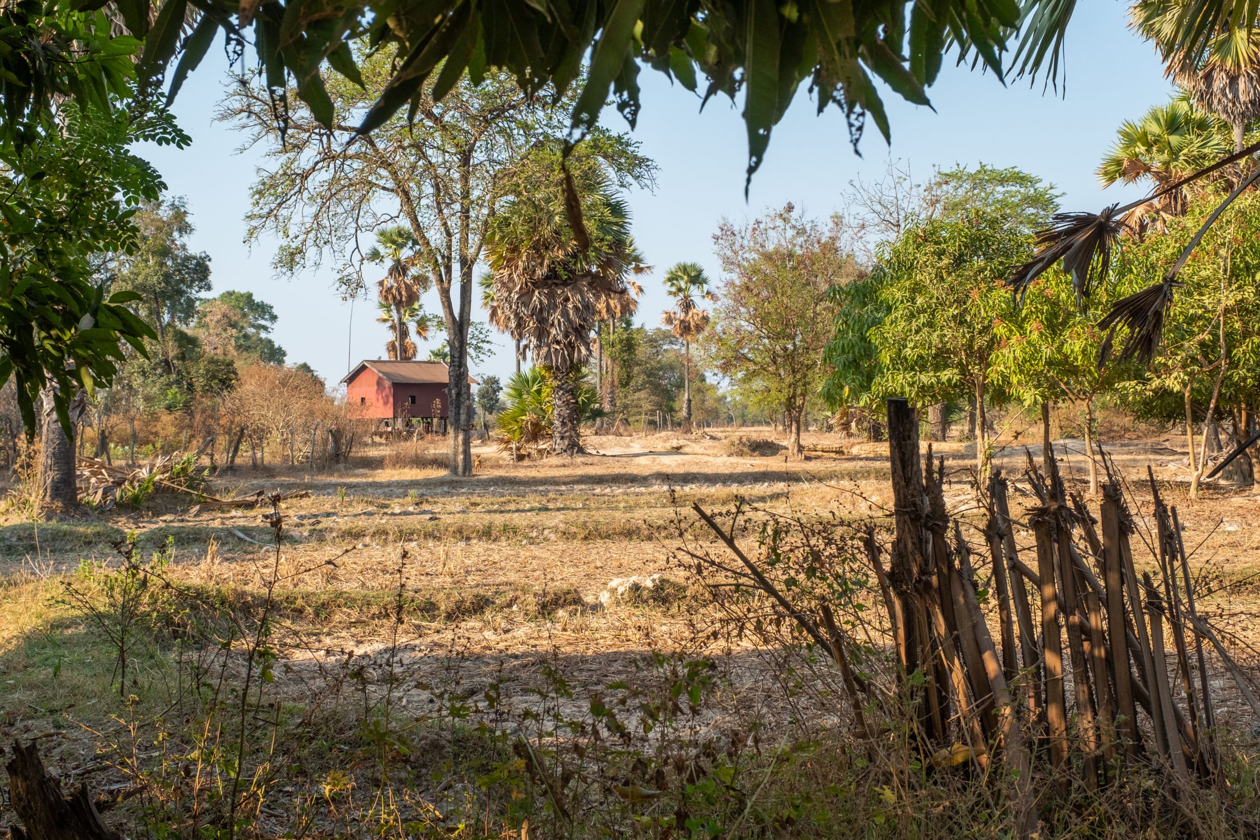 Villages cambodge ressource forestière