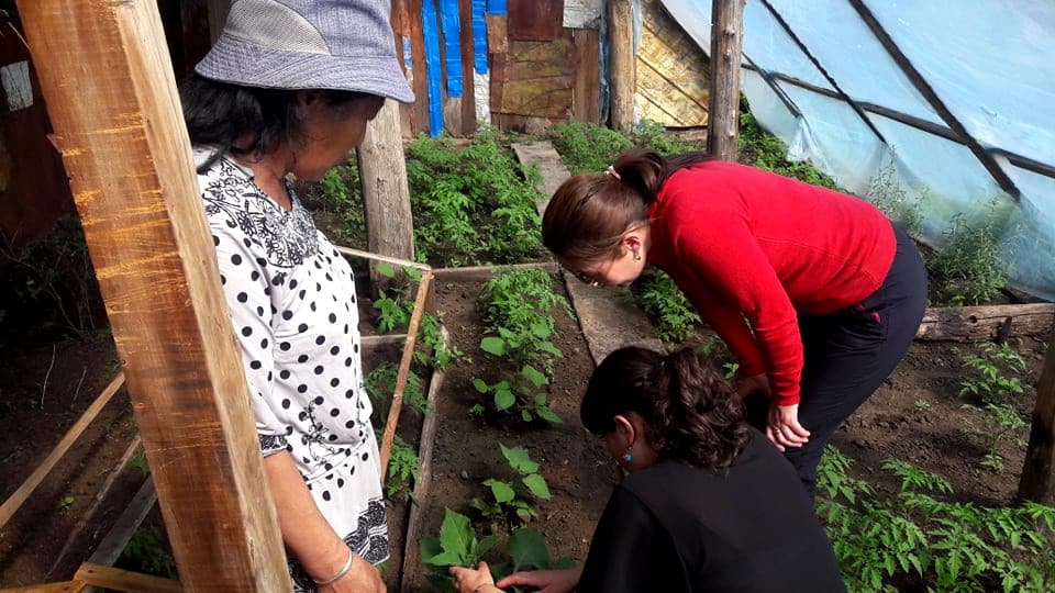 autonomisation femmes mongolie maraichage zone rurale