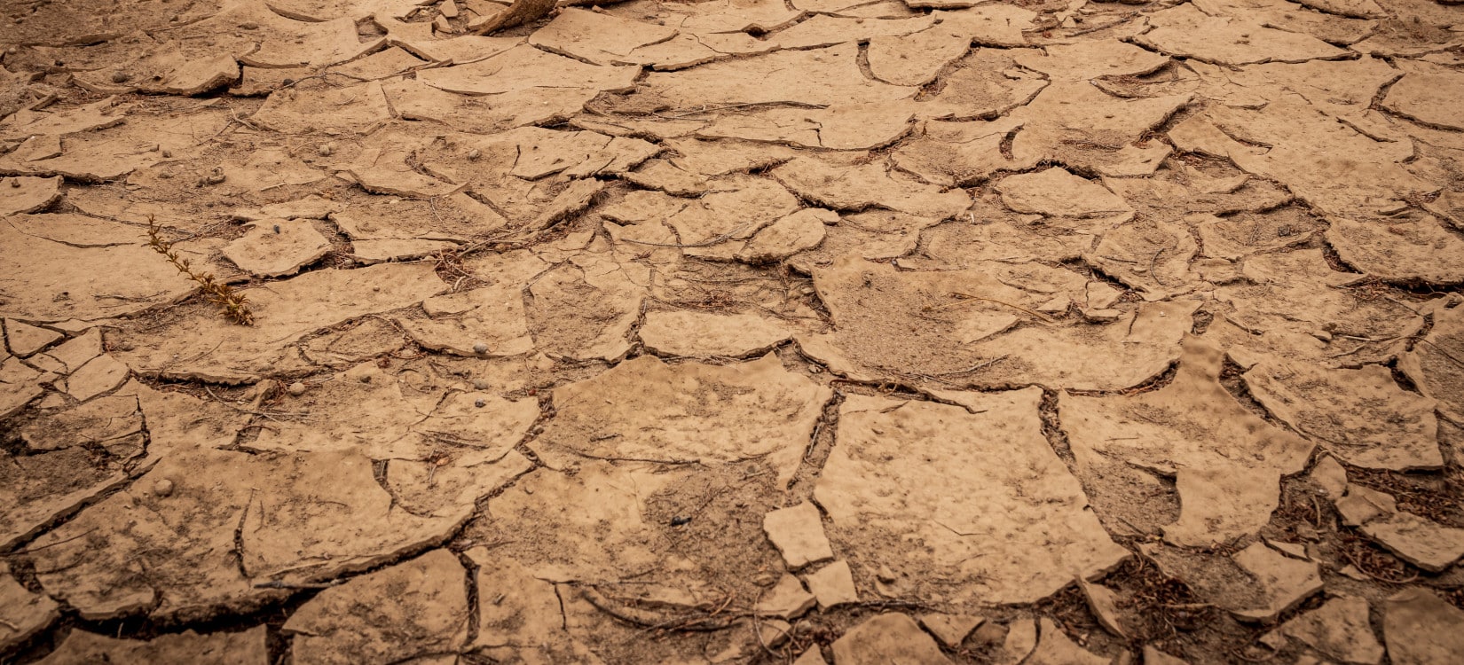 Rapport du Haut Conseil pour le Climat : la France n’est pas préparée aux changements climatiques