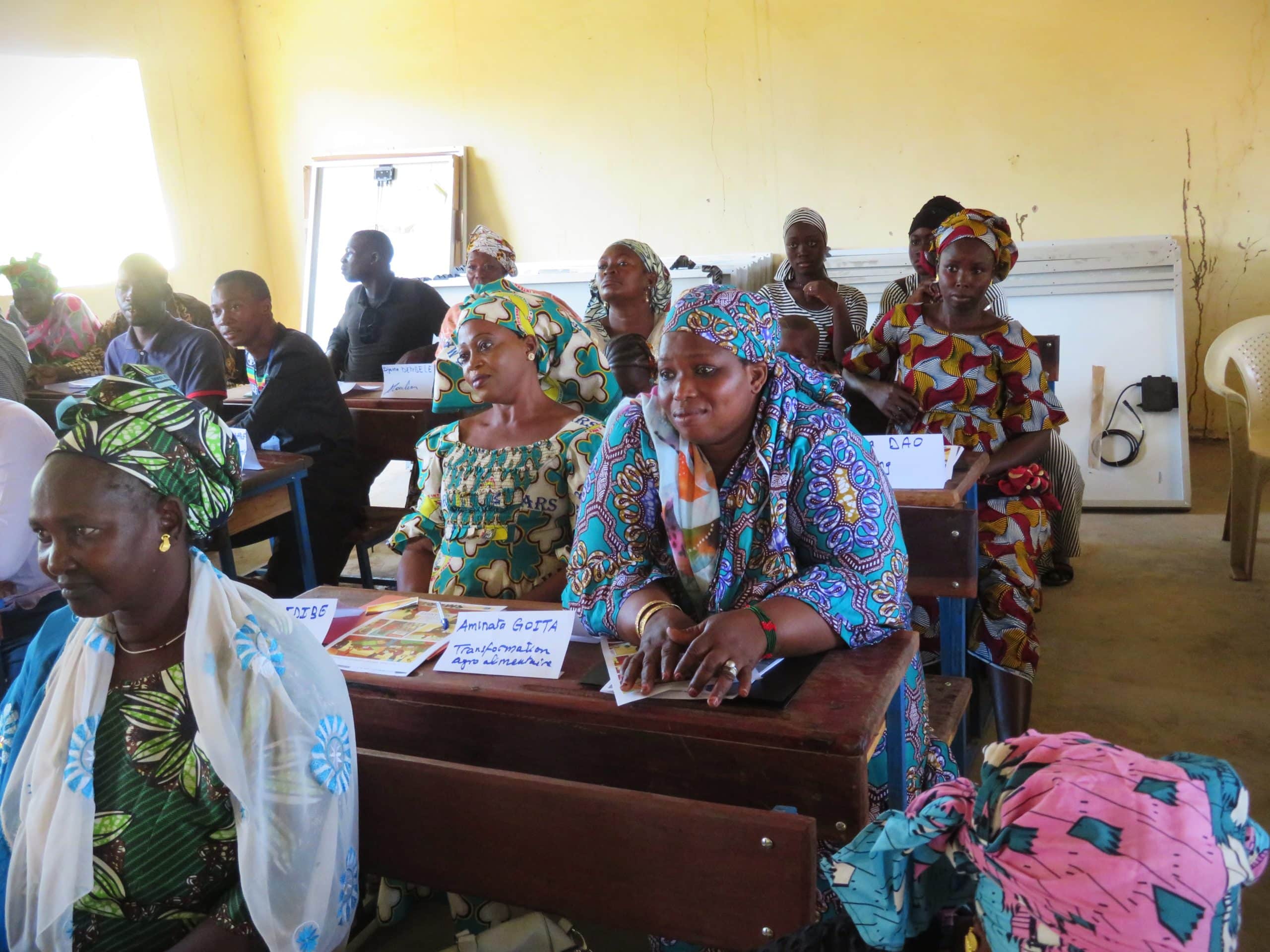 Formation entreprenariat durable femmes mali