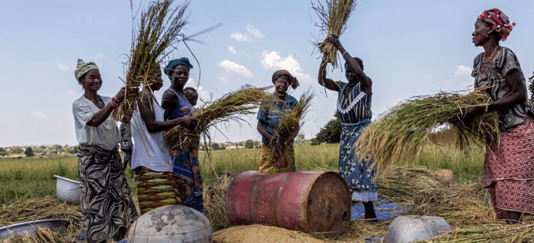 Le Geres déploie ses actions d’efficacité énergétique au Burkina Faso