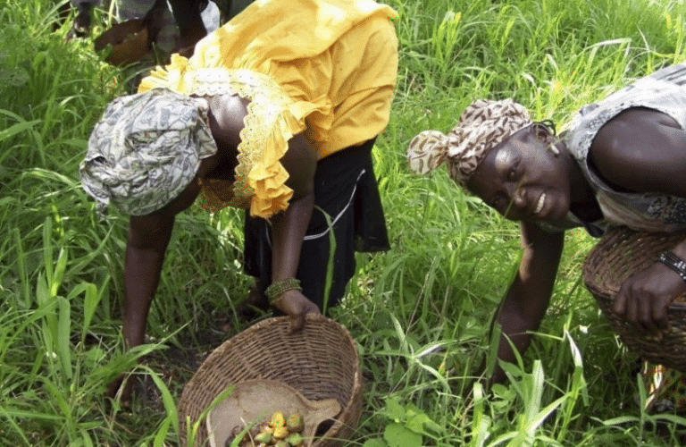 Geres actions in Burkina Faso