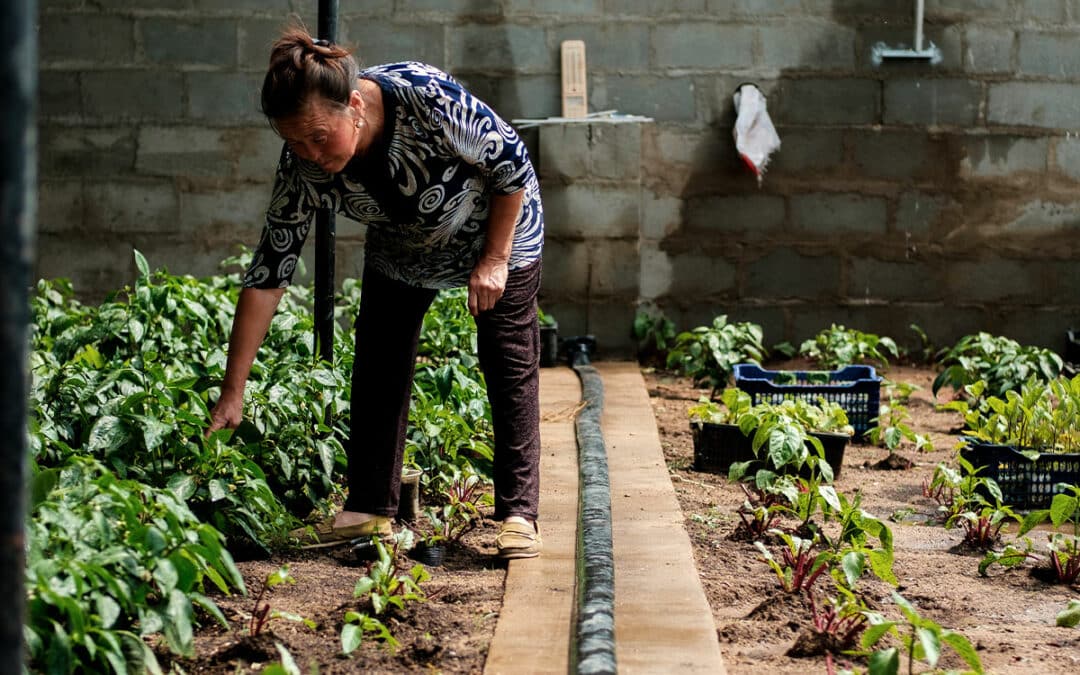 Améliorer l’accès aux financements pour la transition énergétique de l’agriculture