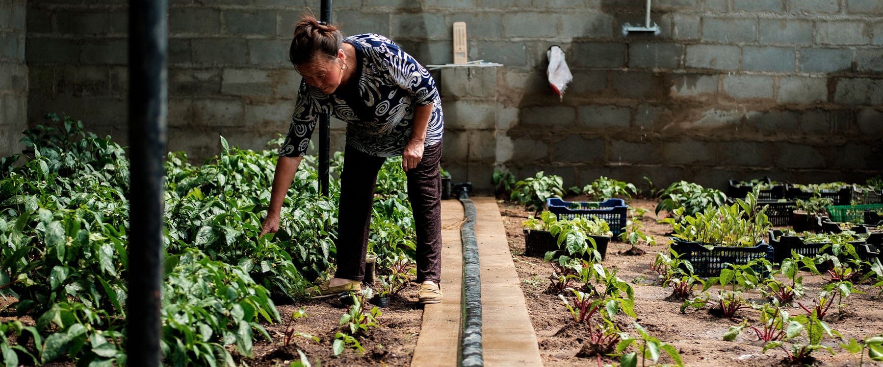 Improving access to financing for the energy transition in agriculture