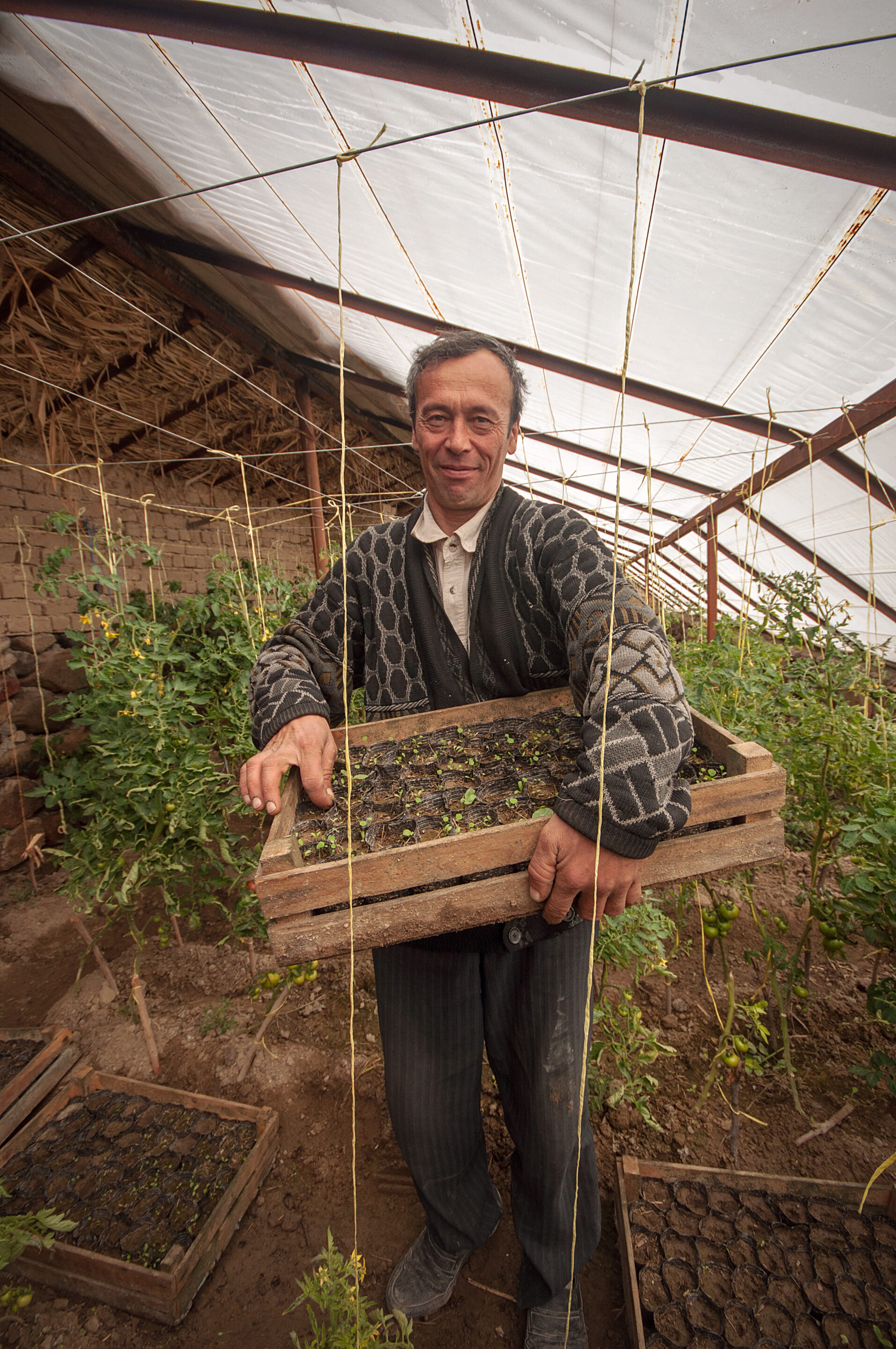 Ghreen House in Marhamat, Oshoba