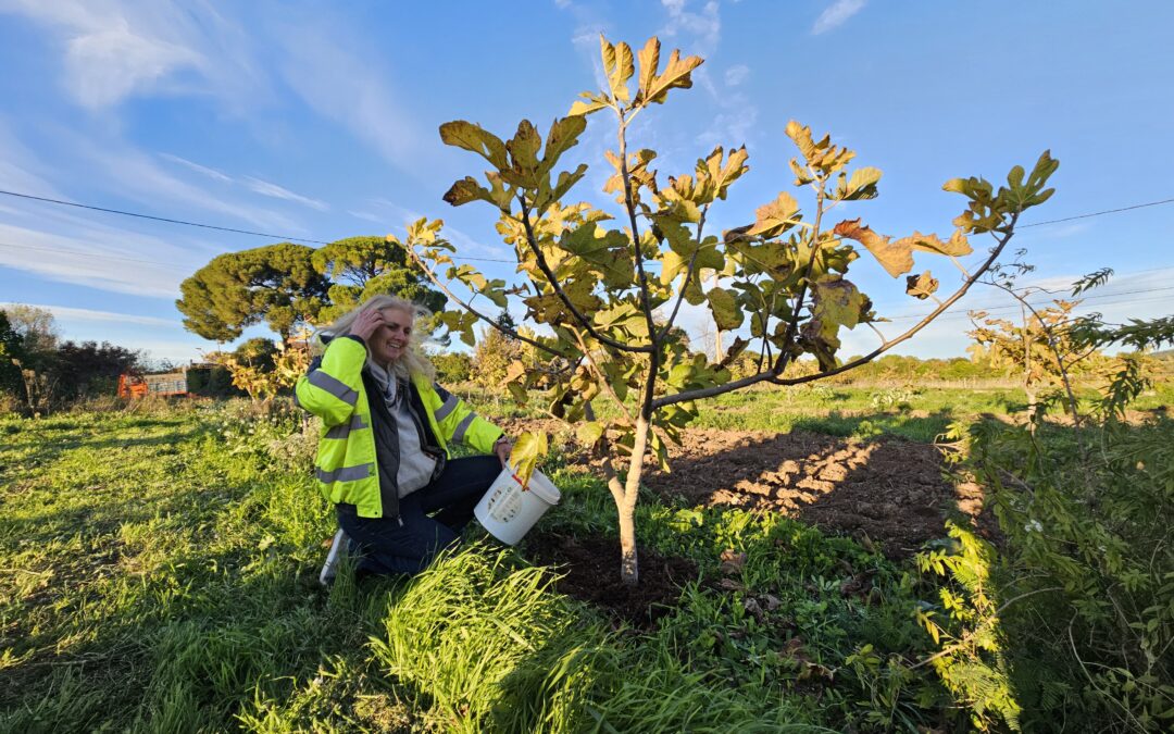 Financer et Accompagner les Besoins des Agriculteur-ices pour Créer des Économies d&rsquo;Énergie 