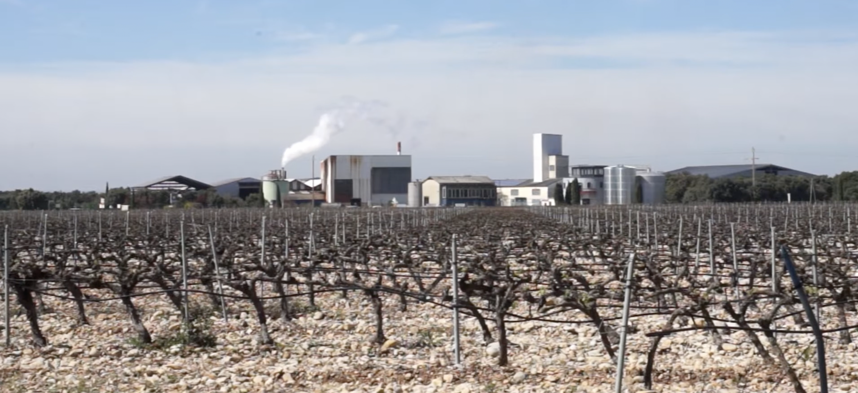 Réduire les émissions et valoriser les résidus organiques en viticulture : Mati’air 